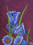 Bild: Blue Blossoms